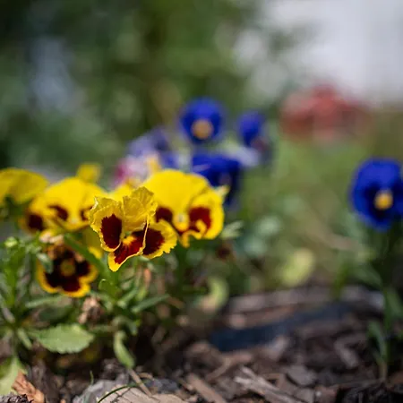 Wypoczynkowa 24 - 700m Od Park Wodny Suntago Wrecza * Krzyzowka (Zyrardow)