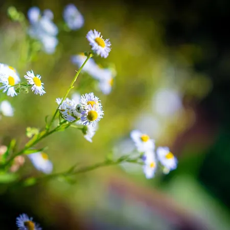 Wypoczynkowa 24 - 700m Od Park Wodny Suntago Wrecza *